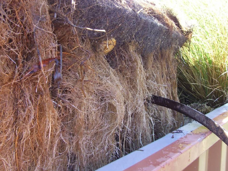 百奧源®浮動(dòng)濕地根系發(fā)達(dá)，密度大大高于人工濕地